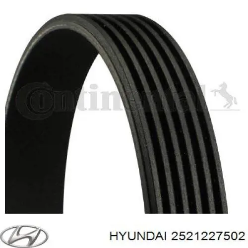 Comprar 2521227502 Hyundai/Kia Correa trapezoidal