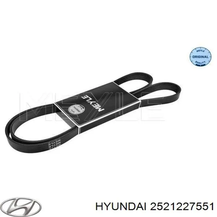 2521227551 Hyundai/Kia correa trapezoidal
