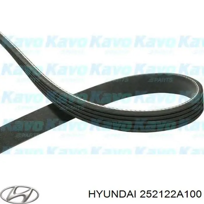Comprar 252122A100 Hyundai/Kia Correa trapezoidal