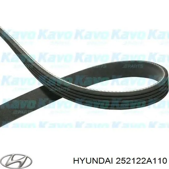252122A110 Hyundai/Kia correa trapezoidal