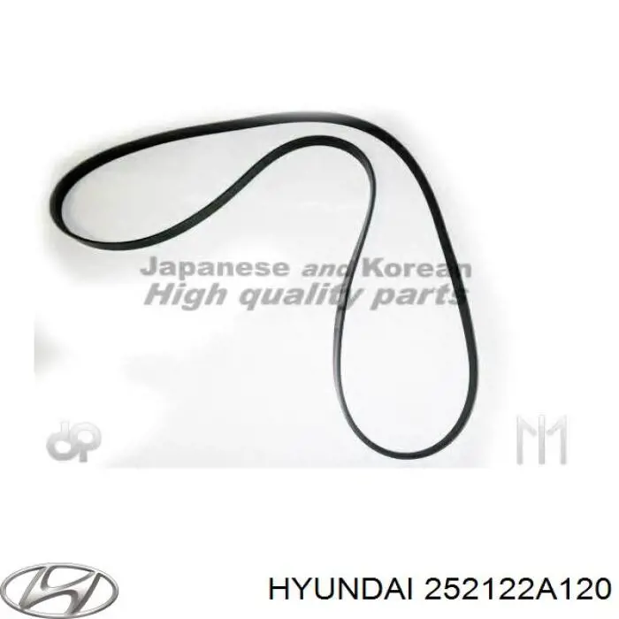 252122A120 Hyundai/Kia correa trapezoidal