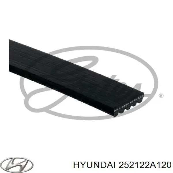 Comprar 252122A120 Hyundai/Kia Correa trapezoidal
