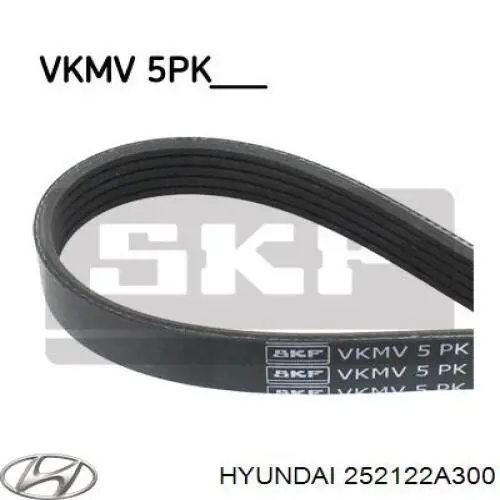 252122A300 Hyundai/Kia Correa poly v