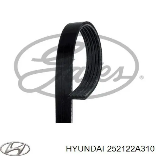 Comprar 252122A310 Hyundai/Kia Correa trapezoidal