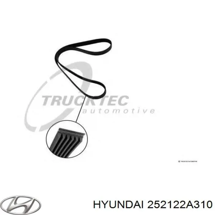 252122A310 Hyundai/Kia correa trapezoidal