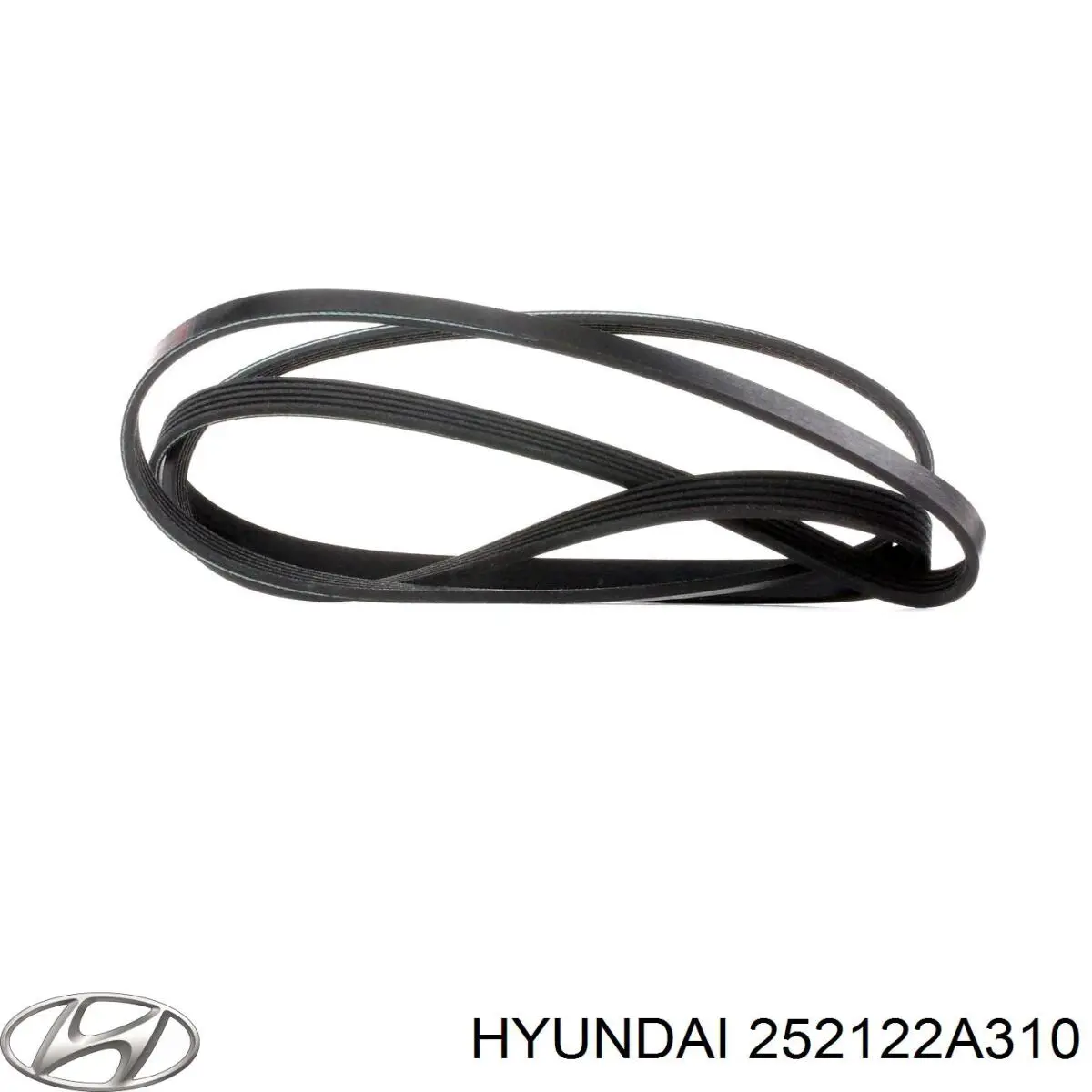 Correa de transmisión trapezoidal Hyundai/Kia 252122A310 precio, desde 12,37 EUR