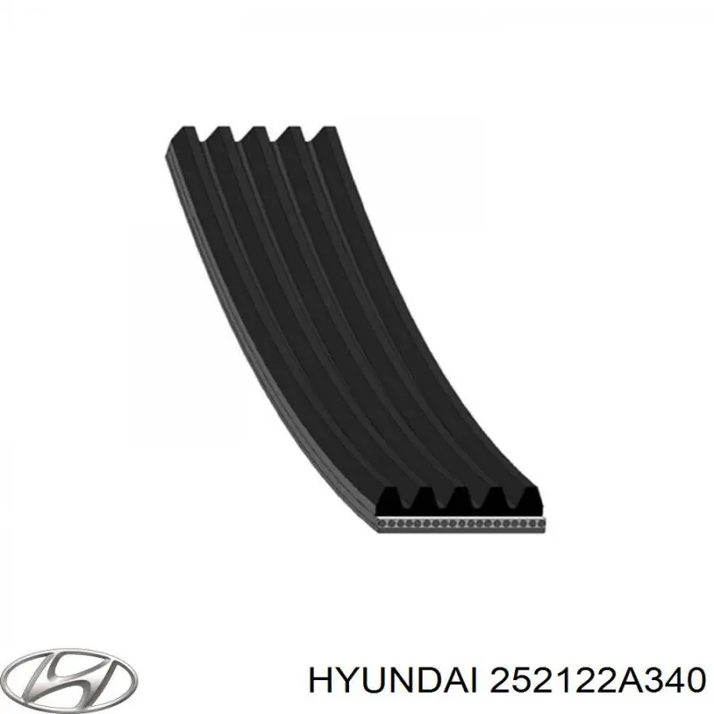 252122A340 Hyundai/Kia correa trapezoidal