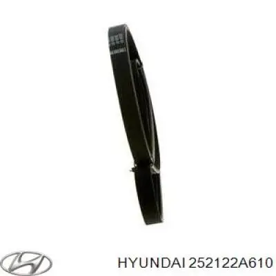 Correa de alternador 252122A610 Hyundai/Kia