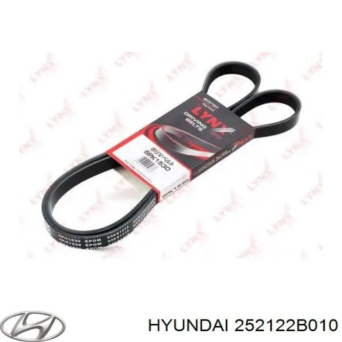 Comprar 252122B010 Hyundai/Kia Correa trapezoidal