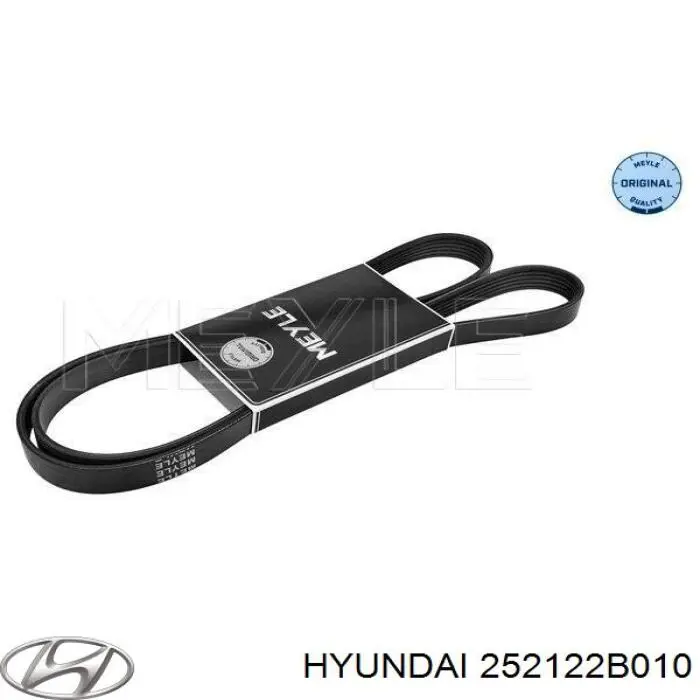 Correa de alternador 252122B010 Hyundai/Kia