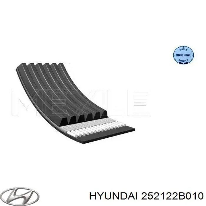 252122B010 Hyundai/Kia correa trapezoidal