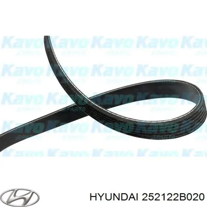 252122B020 Hyundai/Kia Correa poly v