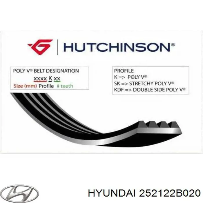 Correa de transmisión trapezoidal Hyundai/Kia 252122B020 precio, desde 15,53 EUR