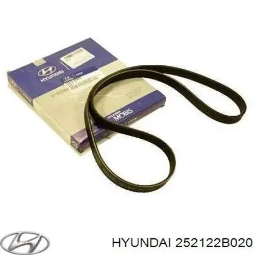 Comprar 252122B020 Hyundai/Kia Correa trapezoidal