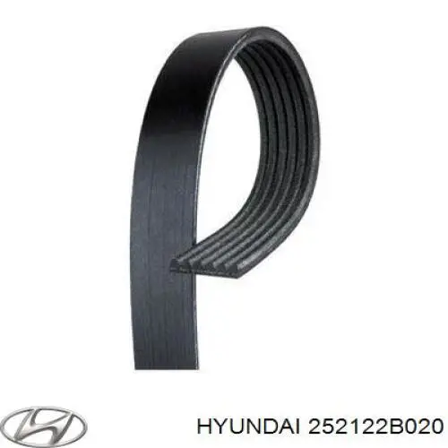 252122B020 Hyundai/Kia correa trapezoidal