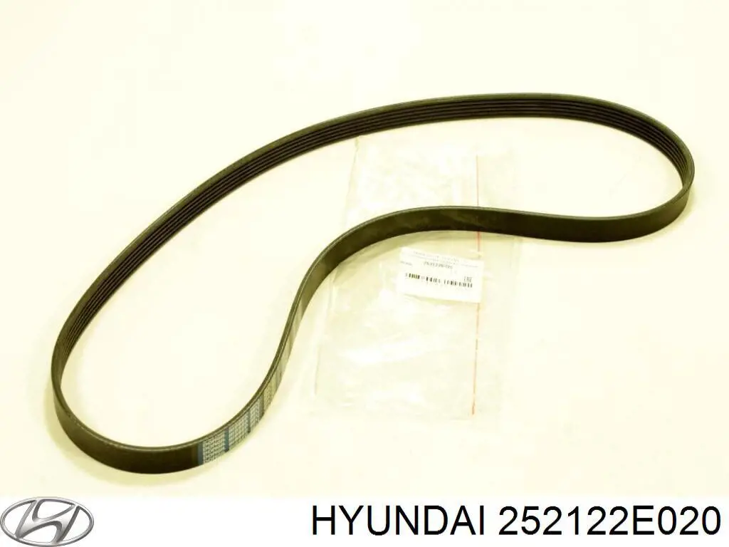 Comprar 252122E020 Hyundai/Kia Correa trapezoidal