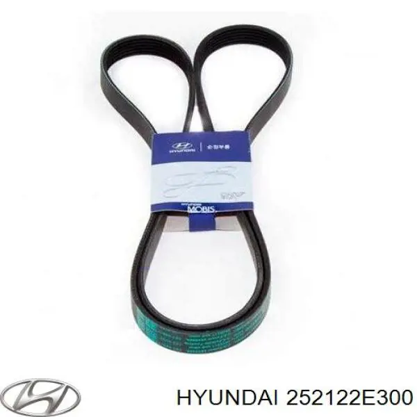 252122E300 Hyundai/Kia correa trapezoidal