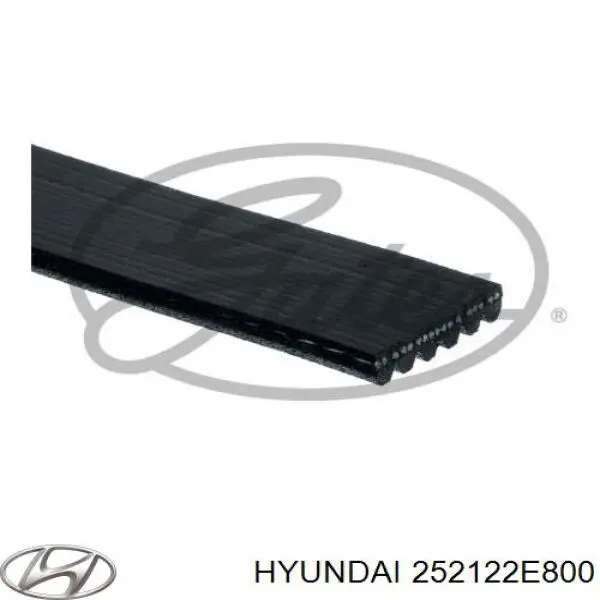 Correa de transmisión trapezoidal Hyundai/Kia 252122E800 precio, desde 24,61 EUR