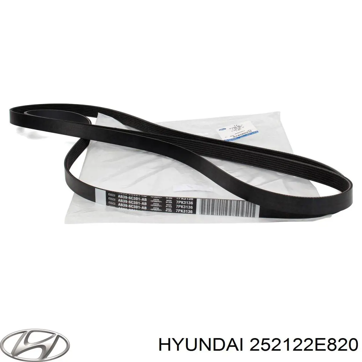 252122E820 Hyundai/Kia correa trapezoidal