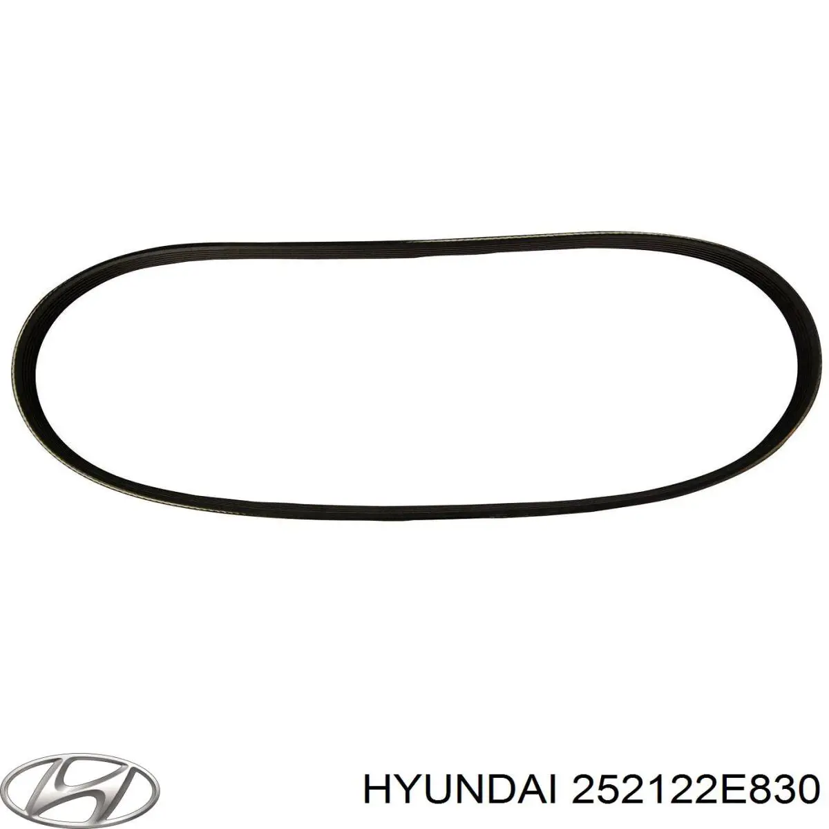 Comprar 252122E830 Hyundai/Kia Correa trapezoidal