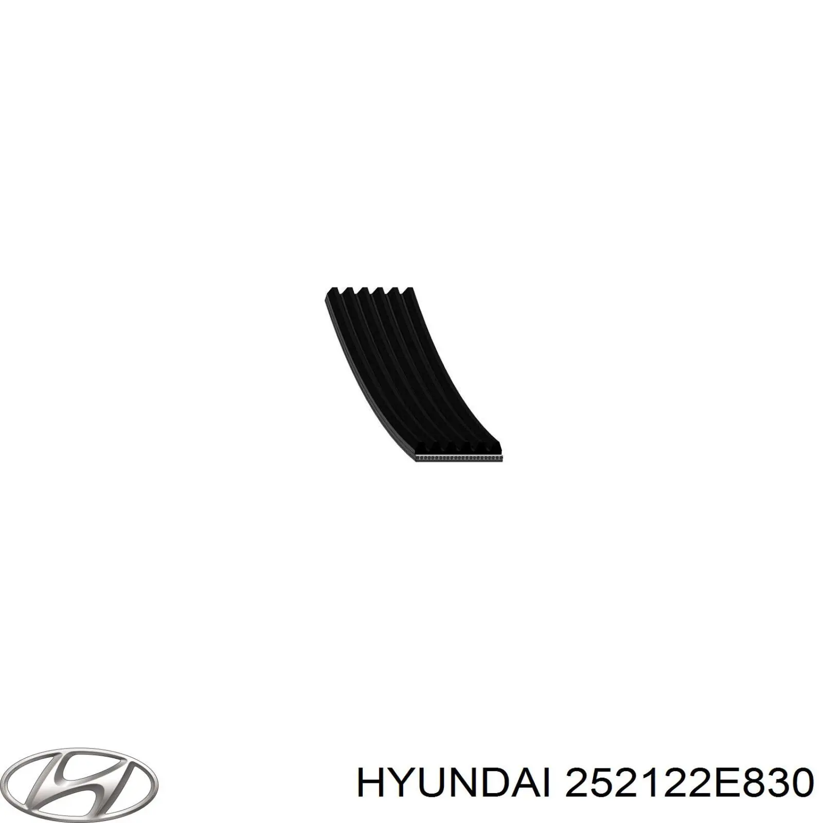 Correa de alternador 252122E830 Hyundai/Kia
