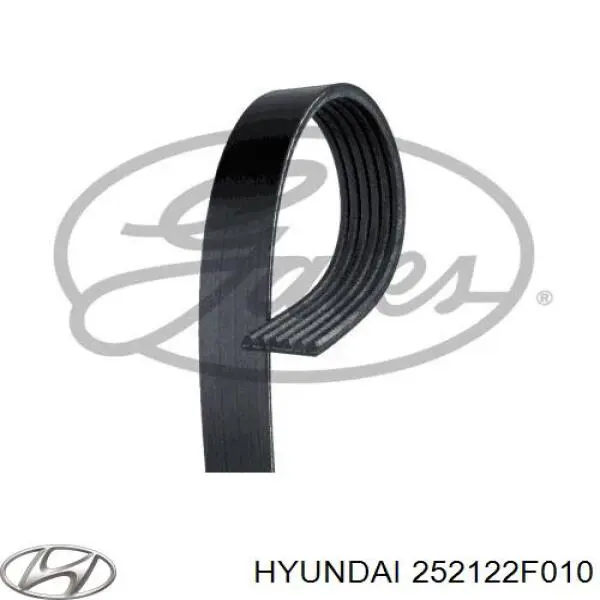 Correa de transmisión trapezoidal Hyundai/Kia 252122F010 precio, desde 26,38 EUR