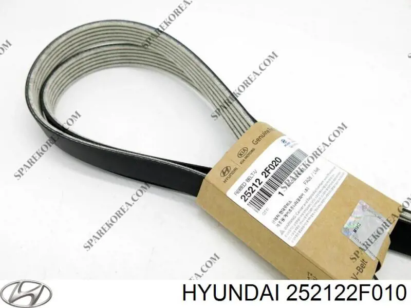 Comprar 252122F010 Hyundai/Kia Correa trapezoidal
