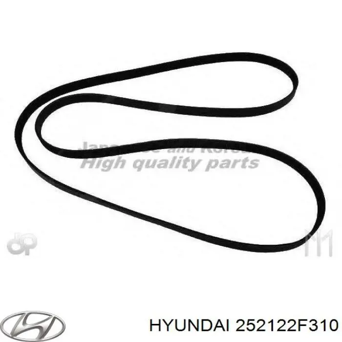 252122F310 Hyundai/Kia correa trapezoidal