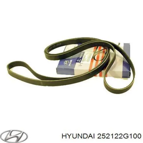 Correa de transmisión trapezoidal Hyundai/Kia 252122G100 precio, desde 27,98 EUR