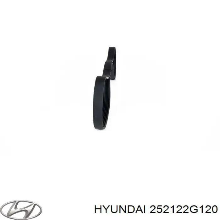 252122G120 Hyundai/Kia correa trapezoidal