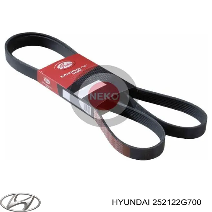 252122G700 Hyundai/Kia Correa poly v