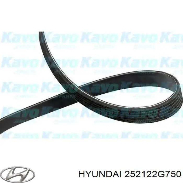 252122G750 Hyundai/Kia correa trapezoidal