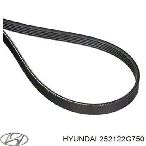 252122G750 Hyundai/Kia Correa poly v