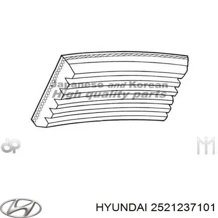 2521237101 Hyundai/Kia correa trapezoidal