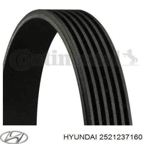 2521237160 Hyundai/Kia correa trapezoidal