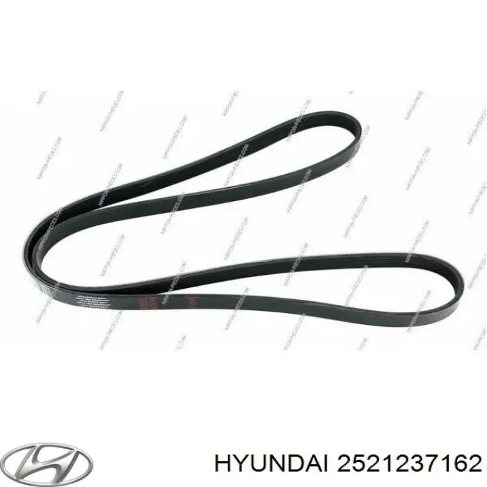 Correa trapezoidal Renault 21 S48