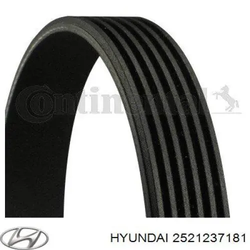 2521237181 Hyundai/Kia correa trapezoidal