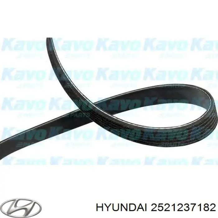 Correa de transmisión trapezoidal Hyundai/Kia 2521237182 precio, desde 17,97 EUR
