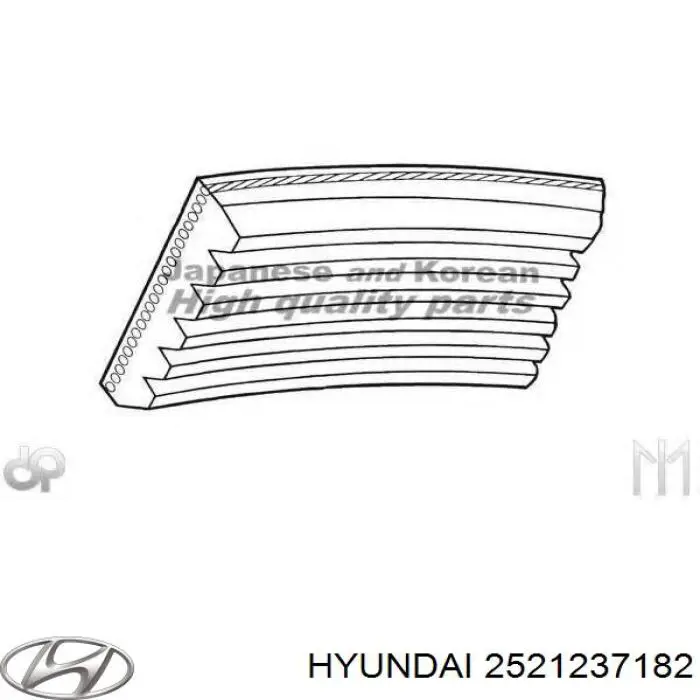 Comprar 2521237182 Hyundai/Kia Correa trapezoidal