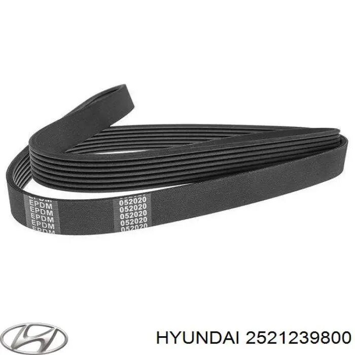 2521239800 Hyundai/Kia correa trapezoidal