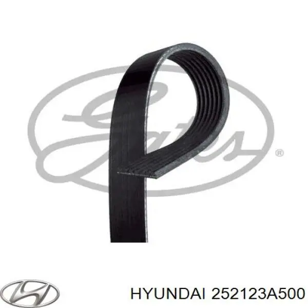 Comprar 252123A500 Hyundai/Kia Correa trapezoidal