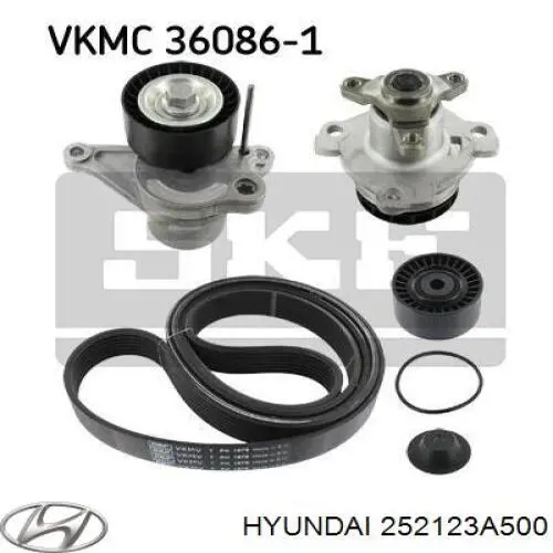 252123A500 Hyundai/Kia Correa poly v