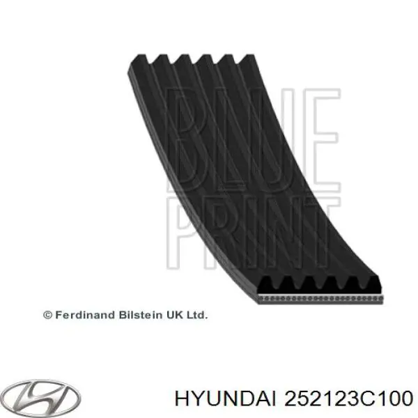 Comprar 252123C100 Hyundai/Kia Correa trapezoidal