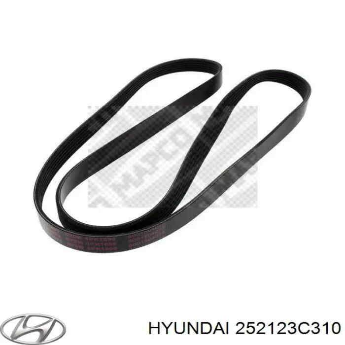 252123C310 Hyundai/Kia
