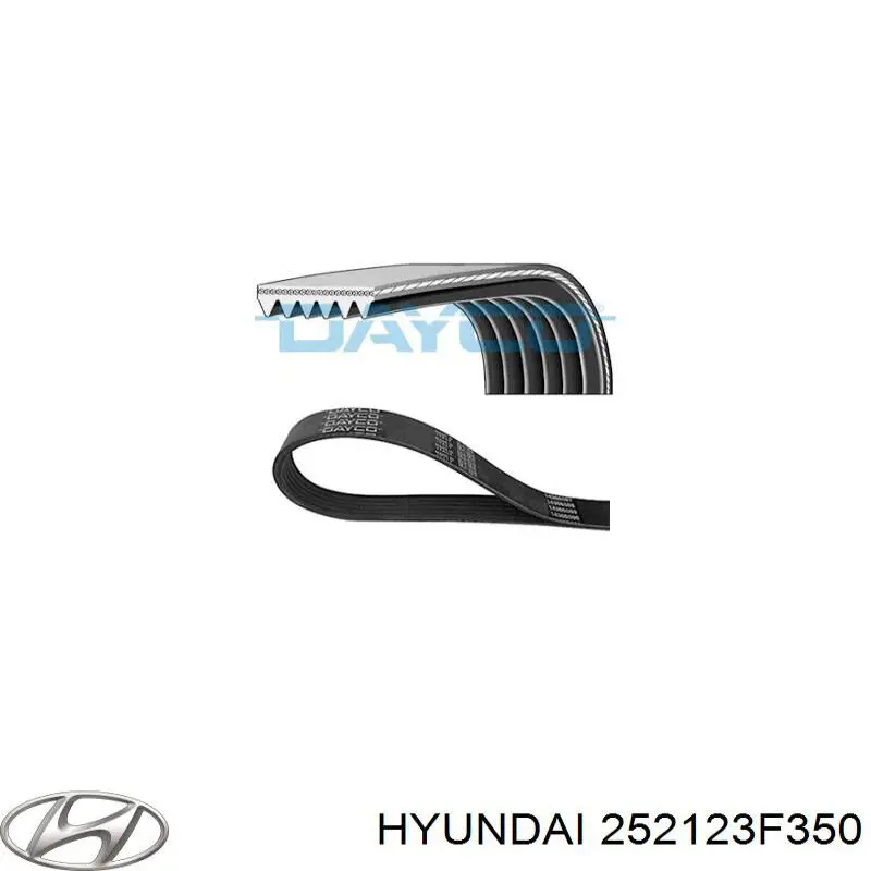 252123F350 Hyundai/Kia correa trapezoidal