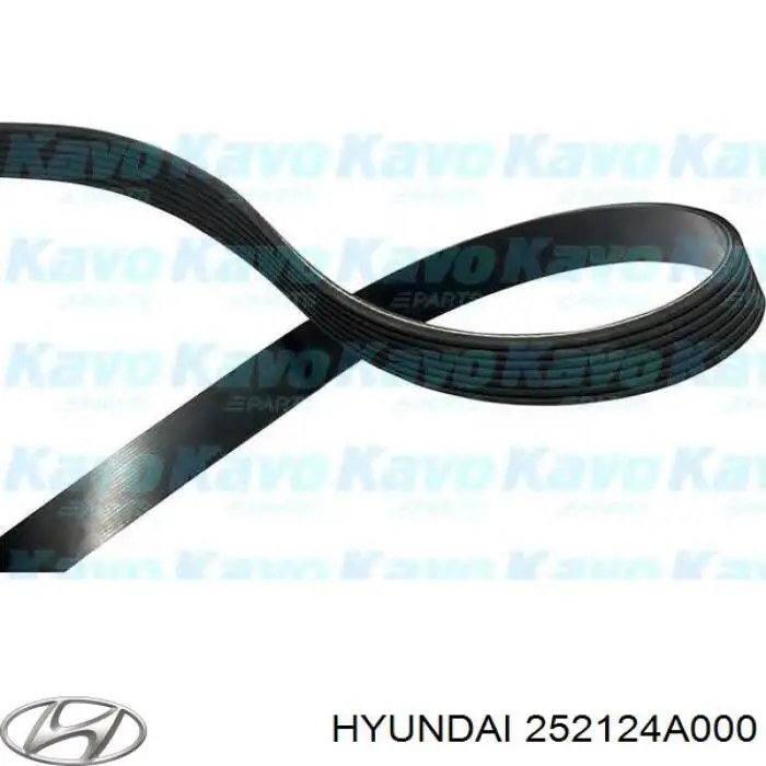 252124A000 Hyundai/Kia correa trapezoidal