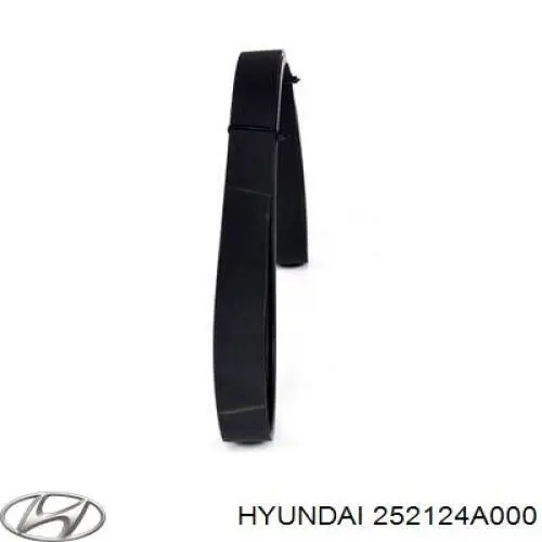 Comprar 252124A000 Hyundai/Kia Correa trapezoidal