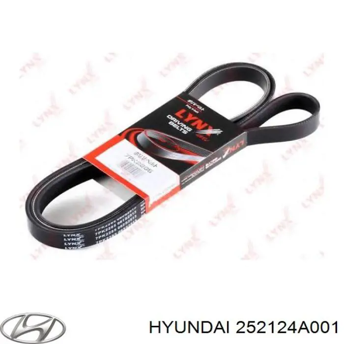 252124A001 Hyundai/Kia correa trapezoidal