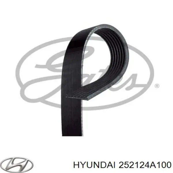 252124A100 Hyundai/Kia correa trapezoidal
