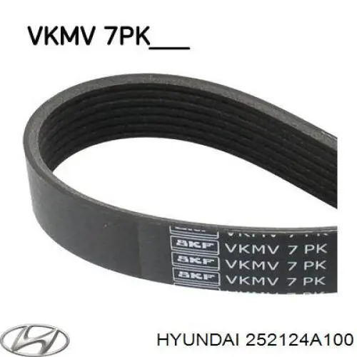 Correa de transmisión trapezoidal Hyundai/Kia 252124A100 precio, desde 26,56 EUR